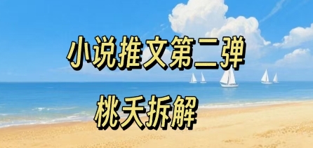 小说推文项目操作全流程第二弹，0粉就能做，门槛低非常适合新手-沐风资源库