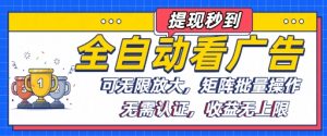 全自动看广告项目，可无限放大，可矩阵批量操作-沐风资源库