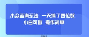 小众蓝海玩法 一天搞了四位数 小白可做 操作简单-沐风资源库