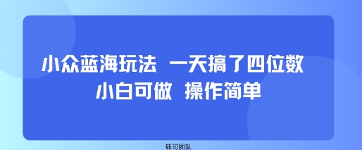 小众蓝海玩法 一天搞了四位数 小白可做 操作简单-沐风资源库