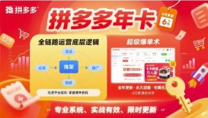 拼多多年卡【8月更新6节】拼多多全链路运营底层逻辑，超级爆单术-沐风资源库