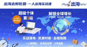出海去孵化器，一人出海实战课，​超级个体第1站，解锁全球增长-沐风资源库
