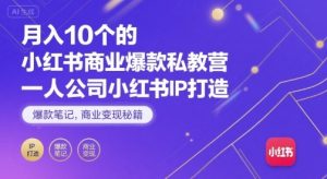 月入10个的小红书商业爆款私教营，一人公司小红书IP打造，爆款笔记，商业变现秘籍-沐风资源库