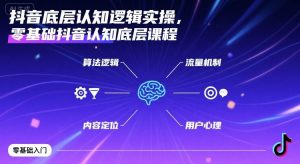 抖音底层认知逻辑实操，零基础抖音认知底层课程-沐风资源库