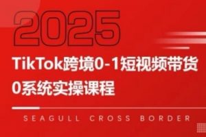 TikTok跨境0-1短视频带货，系统拆解TikTok跨境带货全链路，实现跨境可持续盈利-沐风资源库