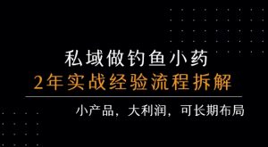 私域做钓鱼小药 每单利润3张+ 详细流程拆解-沐风资源库