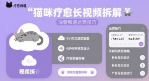 猫咪疗愈长视频拆解 &油管频道运营技巧-沐风资源库