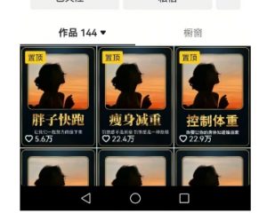 超高变现的短视频减肥细分赛道，减肥账号抖音实战训练营-沐风资源库