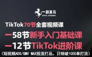 TikTok全套视频课，新手入门+进阶课，短视频ADS-GMV MAX投流打品，日销破1000单打法-沐风资源库