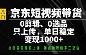 你出账号，我来运营，保底日入1k+，开启躺賺模式【揭秘】-沐风资源库
