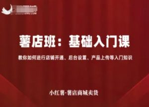 小红薯薯店商城卖货，基础入门课，教你如何进行店铺开通、后台设置、产品上传等入门知识-沐风资源库
