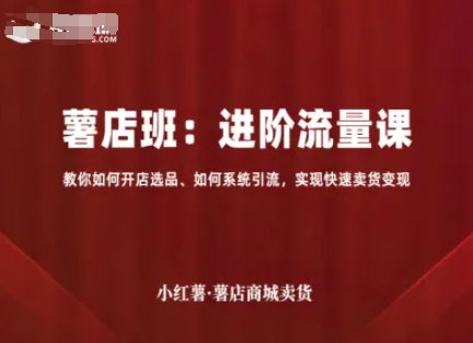 小红薯薯店商城卖货，进阶流量课，教你如何开店选品、如何系统引流，实现快速卖货变现-沐风资源库