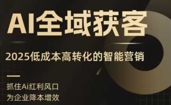 AI全域获客实训营，2025低成本高转化的智能营销，精准找客，高效营销-沐风资源库