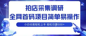 拍店采集调研，全网首码项目，简单易操作， 小白也能轻松上手，多账号操作，轻松日入5张【揭秘】-沐风资源库