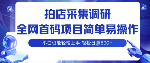 拍店采集调研，全网首码项目，简单易操作， 小白也能轻松上手，多账号操作，轻松日入5张【揭秘】-沐风资源库