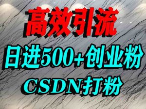 怎么打创业粉？CSDN又一个你不知道的打粉引流神秘平台，单人日引500+精准流量-沐风资源库