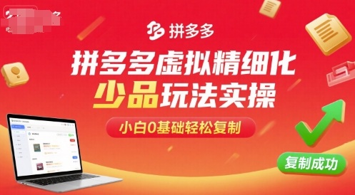 拼多多虚拟精细化少品玩法实操，小白0基础轻松复制-沐风资源库