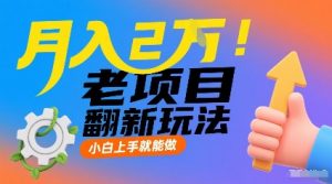 月入2W！老项目翻新玩法，小白上手就能做，非常容易上手-沐风资源库