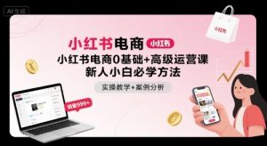 小红书电商0基础+高级运营课，新人小白必学方法，实操教学+案例分析-沐风资源库