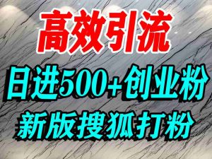 怎么打创业粉？搜狐网打精准创业粉，打粉引流教程，单人日引500+精准创业粉-沐风资源库