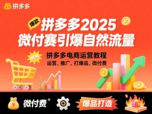 拼多多2025微付赛引爆自然流量，拼多多电商运营教程，运营、推广、打爆品、微付费-沐风资源库