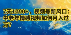 7天收益1k+，视频号新风口：中老年情感视频如何月入过W?-沐风资源库