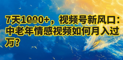 7天收益1k+，视频号新风口：中老年情感视频如何月入过W?-沐风资源库