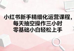 小红书新手精细化运营课程，每天抽空操作三小时，零基础小白轻松上手-沐风资源库