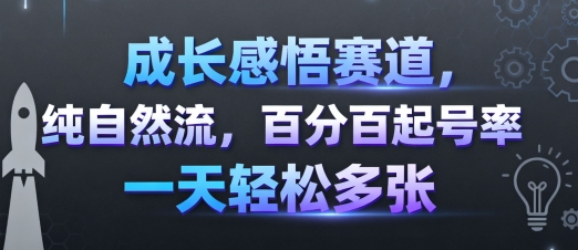 成长感悟赛道，纯自然流，百分百起号率 一天轻松多张-沐风资源库