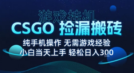 8月最新游戏搬砖，CSGO纯挂G，不需要玩游戏，实现真挂G，月入1W+【揭秘】-沐风资源库