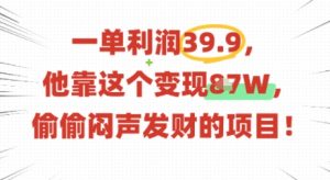 一单利润39.9，有人靠这个变现几十个，偷偷闷声发财的项目-沐风资源库
