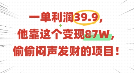 一单利润39.9，有人靠这个变现几十个，偷偷闷声发财的项目-沐风资源库