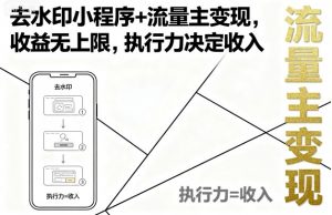去水印小程序+流量主变现，收益无上限，执行力决定收入-沐风资源库