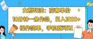 女粉玩法：高客单价，10分钟一条作品，日入1k+操作简单，手机就可以-沐风资源库