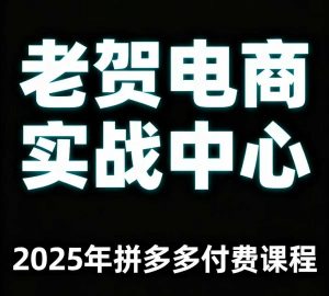 老贺电商2025年拼多多付费课程，用通俗易懂的方法告诉你多多怎么玩-沐风资源库