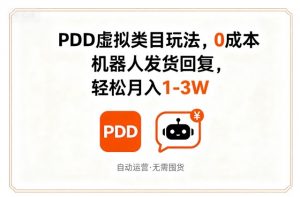 PDD虚拟类目玩法，0成本，机器人发货回复，轻松月入1-3W-沐风资源库