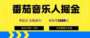 番茄音乐人掘金，单账号最高可撸1k+，可无限矩阵去做，零投入-沐风资源库