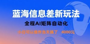 蓝海信息差新玩法，全程AI矩阵自动化小白可以操作当天搞了1k+-沐风资源库