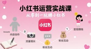 小红书运营实战课，从零到一玩賺小红书-沐风资源库