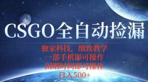 CSGO自动捡漏项目，最新独家玩法，一个手机即可操作，新手小白轻松月入1W+，操作简单易上手【揭秘】-沐风资源库