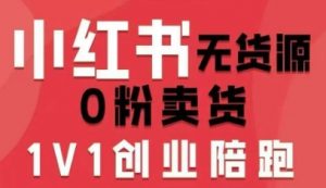 小红书无货源0粉电商课，开店准备、选品策略、笔记撰写、视频剪辑、数据分析、账号打造、资料文档-沐风资源库