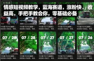 情感短视频教学，蓝海赛道，涨粉快，收益高，手把手教会你，零基础必备-沐风资源库