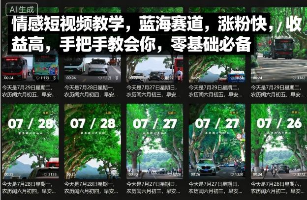情感短视频教学，蓝海赛道，涨粉快，收益高，手把手教会你，零基础必备-沐风资源库
