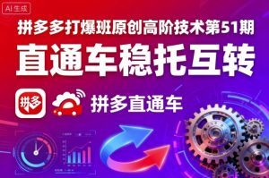 拼多多打爆班原创高阶技术第51期,直通车稳托互转-沐风资源库