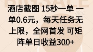 酒店截图项目，15秒一单，一单0.6米，每天任务无上限，全网首发可矩阵单日收益3张+【揭秘】-沐风资源库