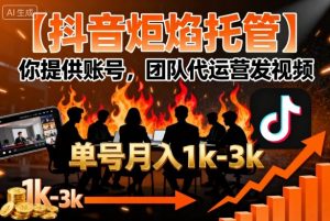 【抖音炬焰托管】你提供账号，团队代运营发视频，单号月入1k+【揭秘】-沐风资源库