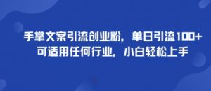 手掌文案引流创业粉，单日引流100+，可适用任何行业，小白轻松上手-沐风资源库