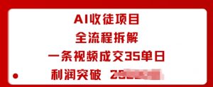 AI收徒项目全流程拆解一条视频成交35单日利润突破1k+-沐风资源库