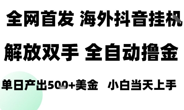 海外抖音无人直播，单日产出1.5k+，长期稳定，新手可玩，无脑操作【揭秘】-沐风资源库