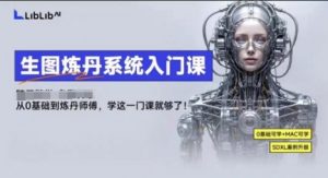 LibLibAI哩布哩布生图炼丹系统入门课，从生图到炼丹，只学这一门就够了-沐风资源库